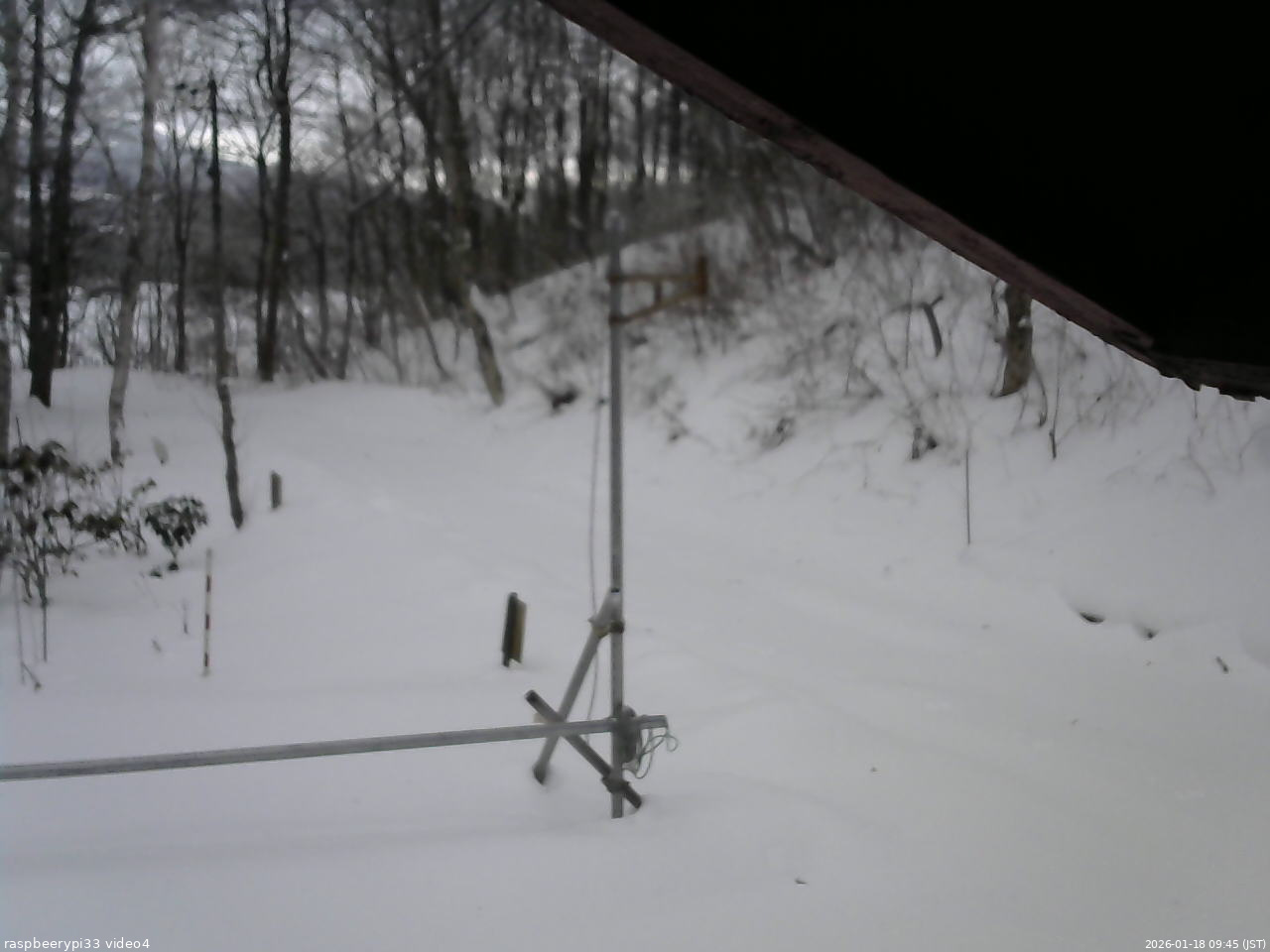 長野県菅平高原 ゆたか山荘 東側(坂下) 2026/01/18 09:45