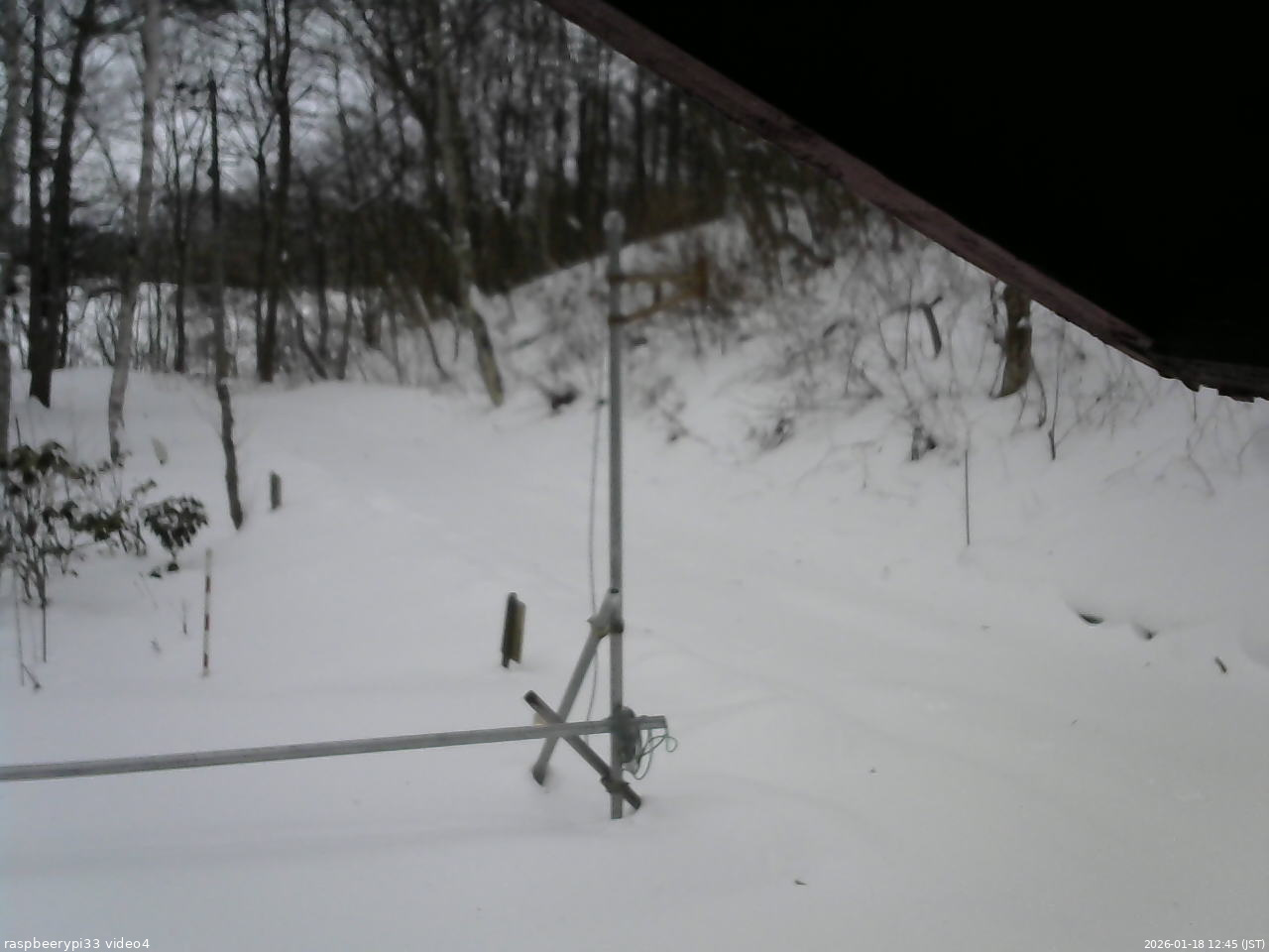 長野県菅平高原 ゆたか山荘 東側(坂下) 2026/01/18 12:45