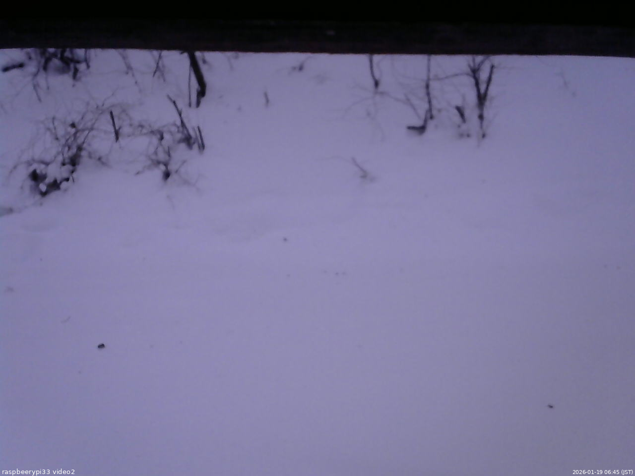 長野県菅平高原 ゆたか山荘 南側 2026/01/19 06:45