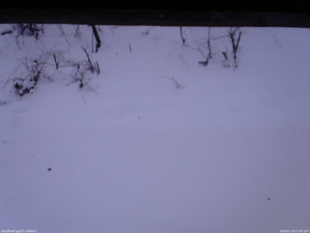 長野県菅平高原 ゆたか山荘 南側 2026/01/19 07:00