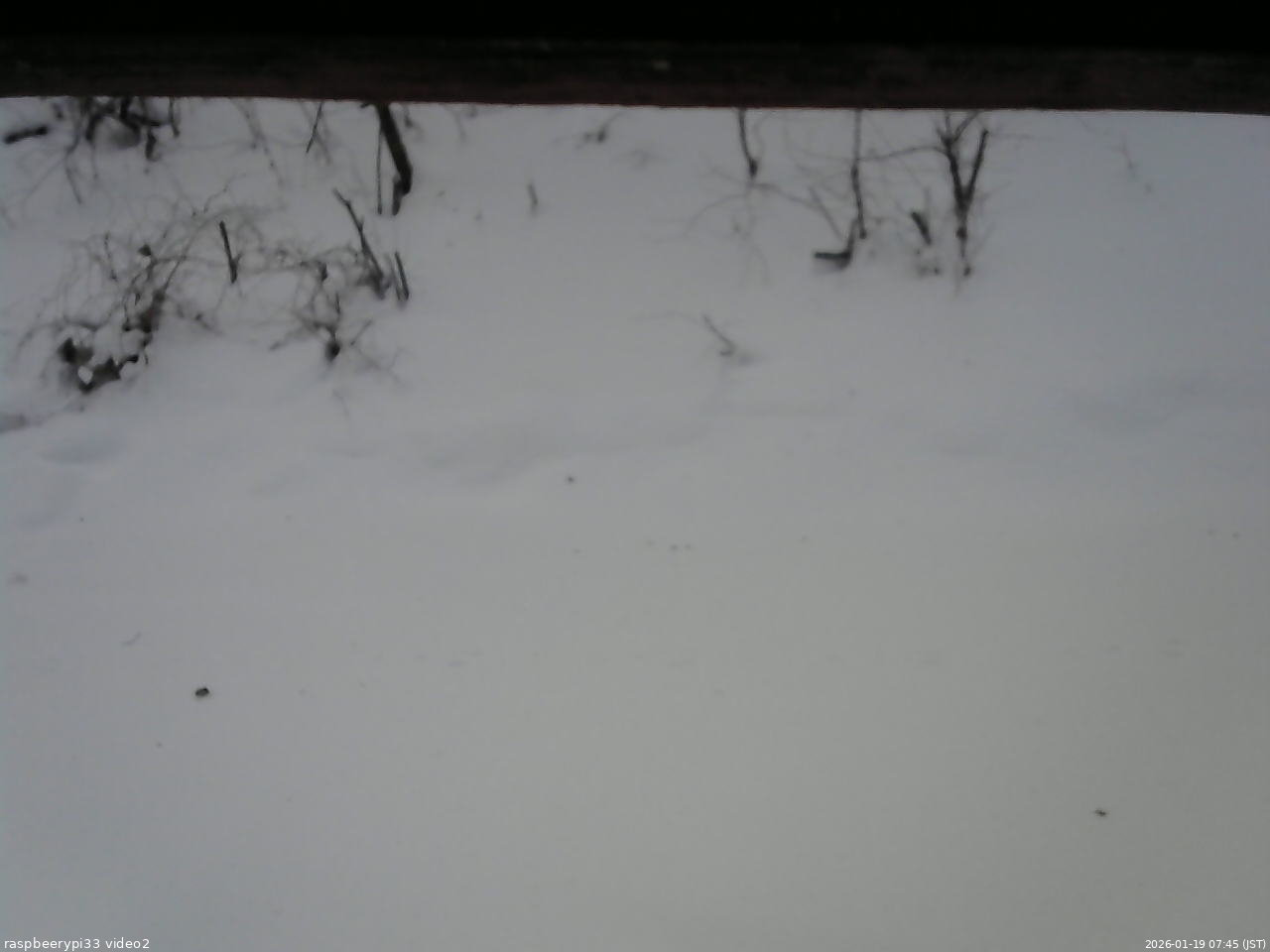 長野県菅平高原 ゆたか山荘 南側 2026/01/19 07:45