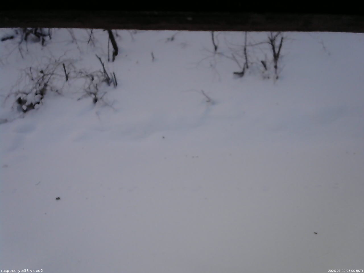 長野県菅平高原 ゆたか山荘 南側 2026/01/19 08:00