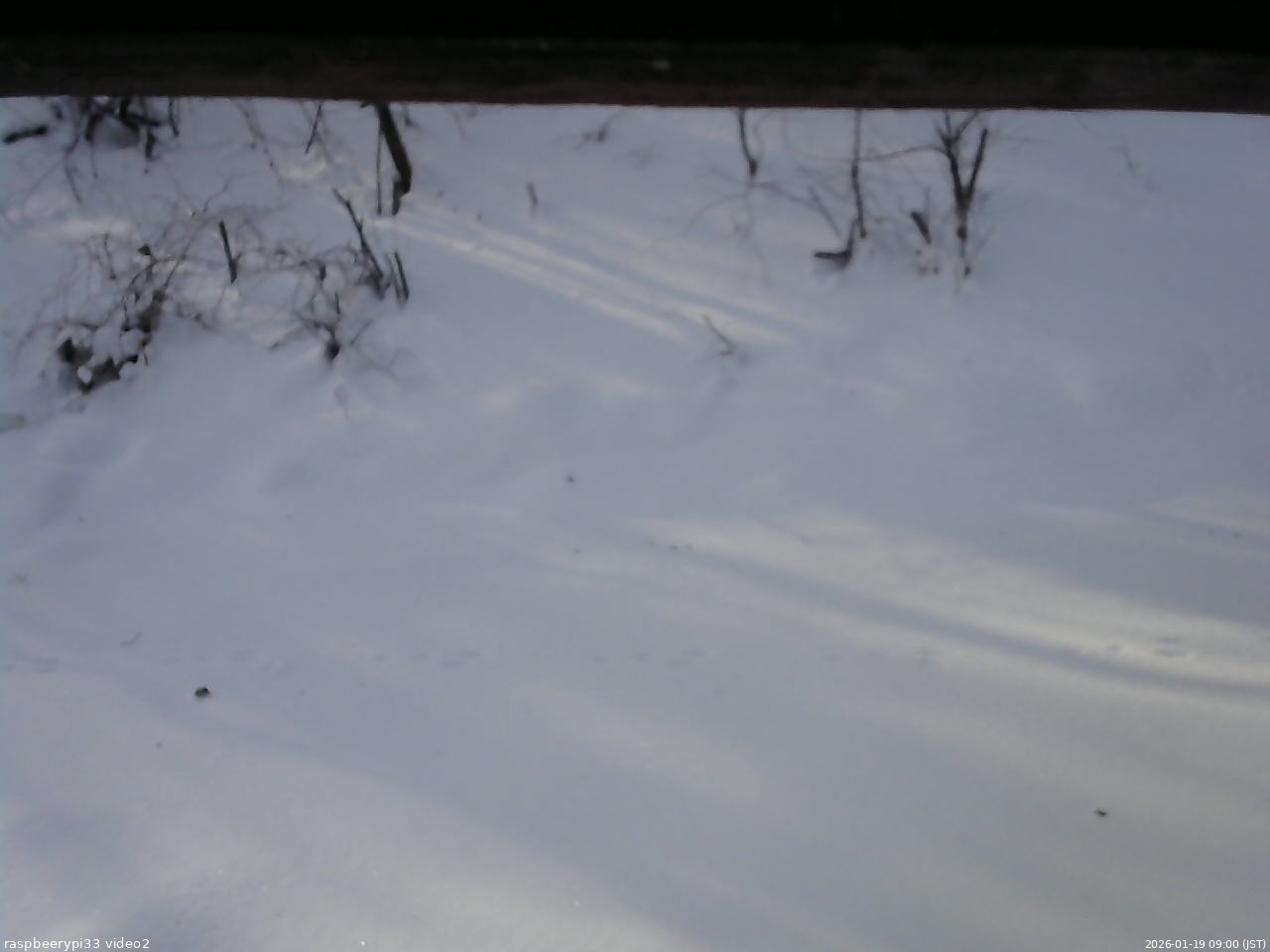 長野県菅平高原 ゆたか山荘 南側 2026/01/19 09:00