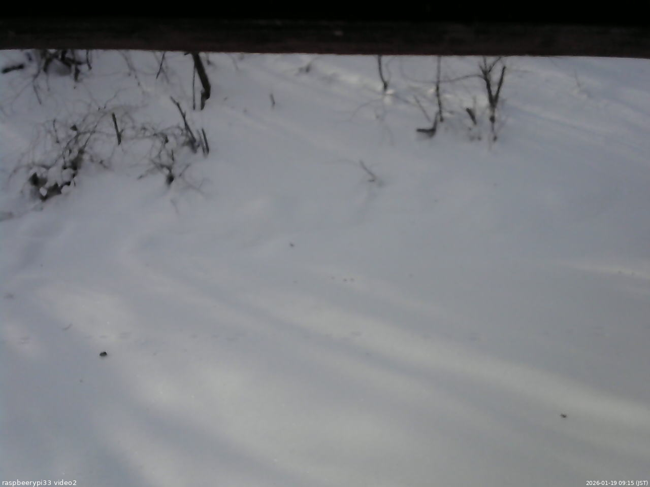 長野県菅平高原 ゆたか山荘 南側 2026/01/19 09:15