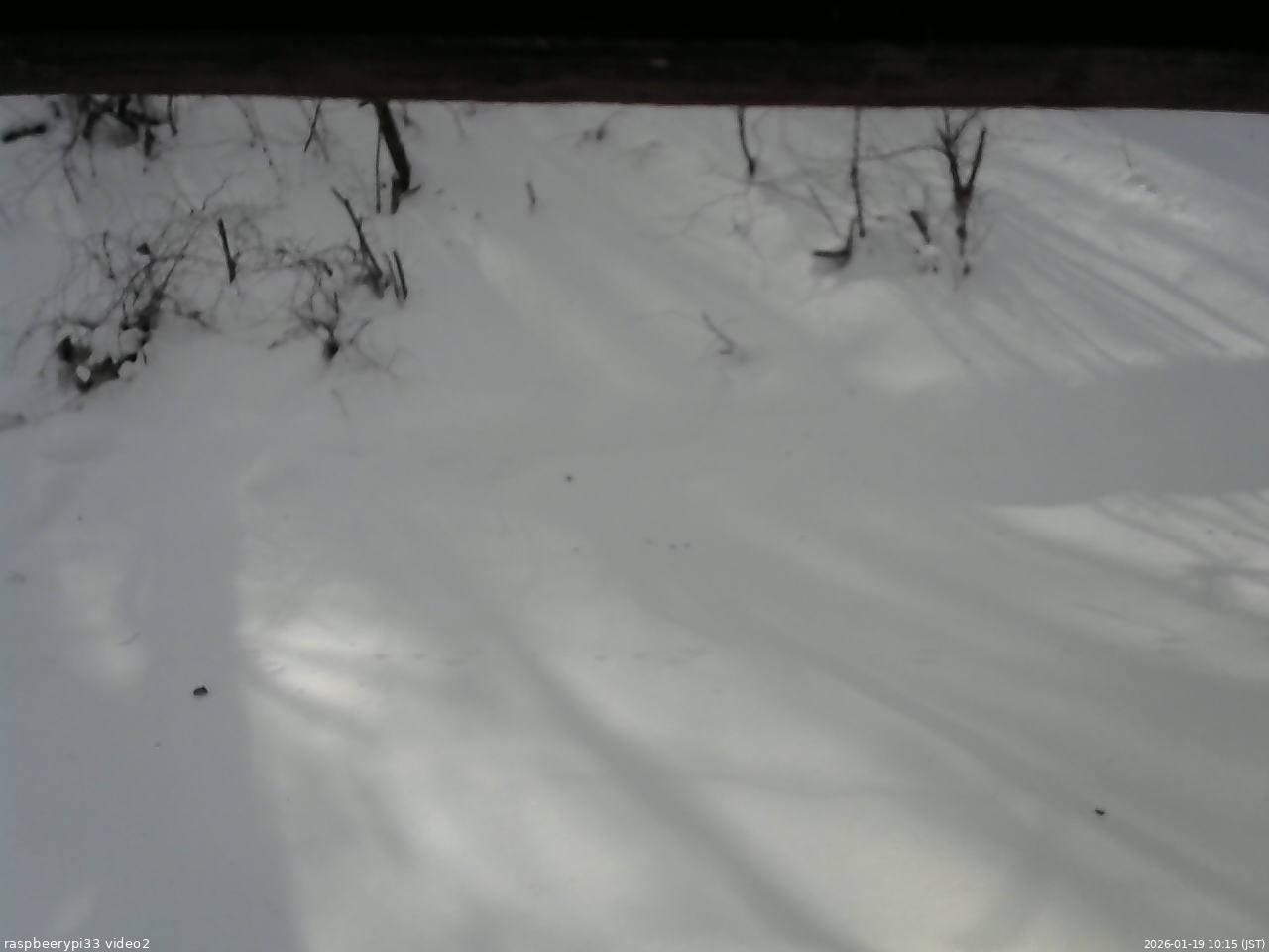 長野県菅平高原 ゆたか山荘 南側 2026/01/19 10:15