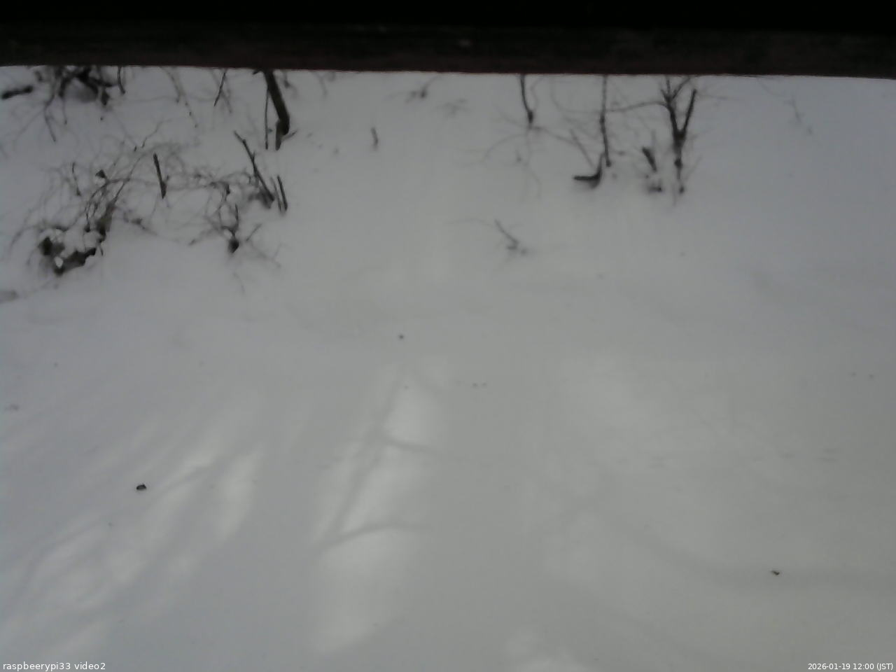 長野県菅平高原 ゆたか山荘 南側 2026/01/19 12:00