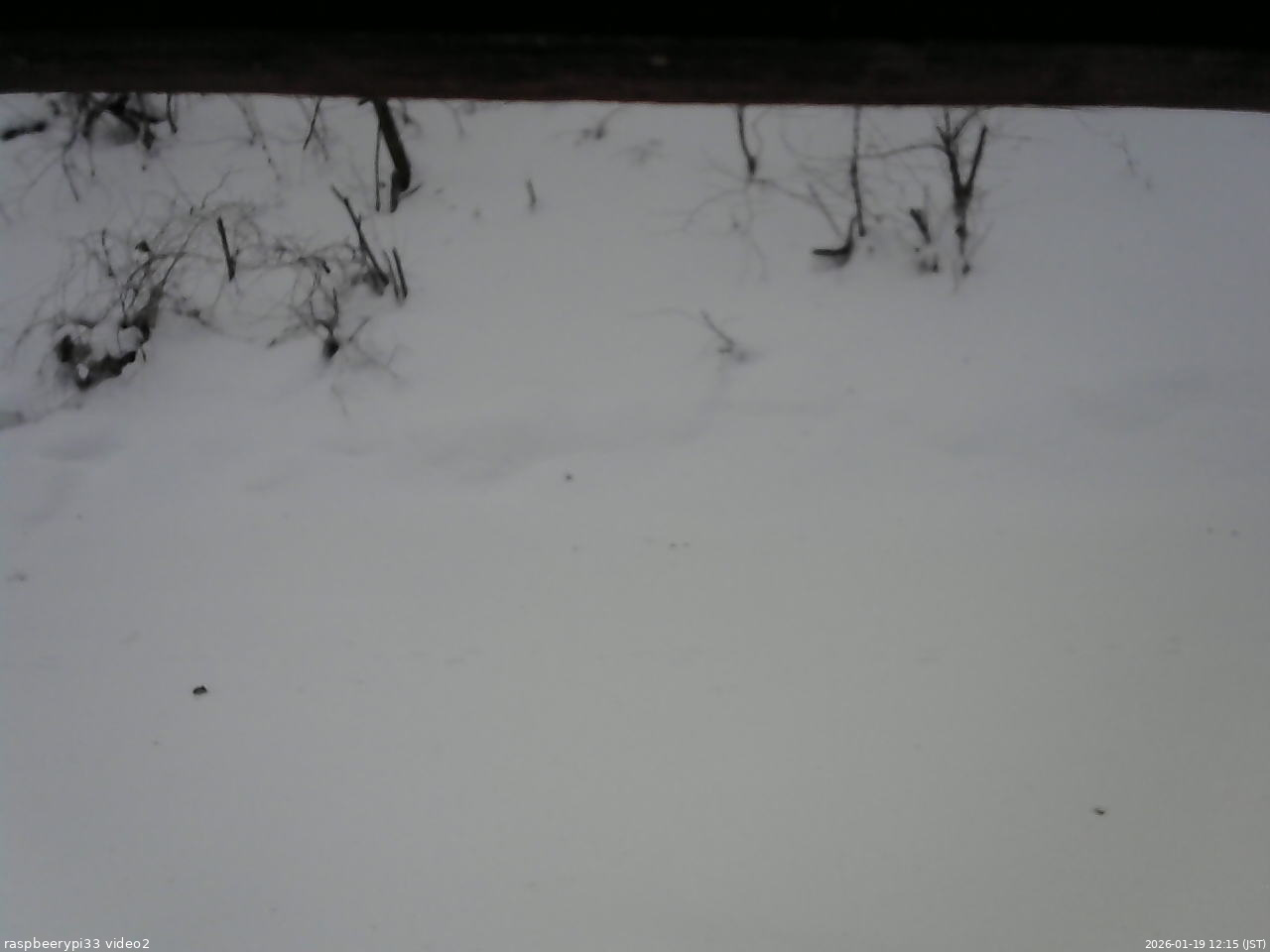 長野県菅平高原 ゆたか山荘 南側 2026/01/19 12:15