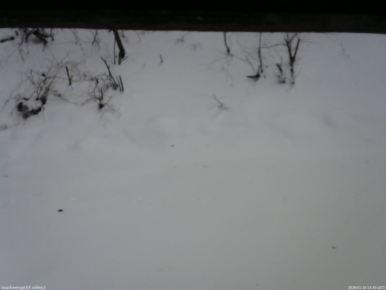 長野県菅平高原 ゆたか山荘 南側 2026/01/19 14:30