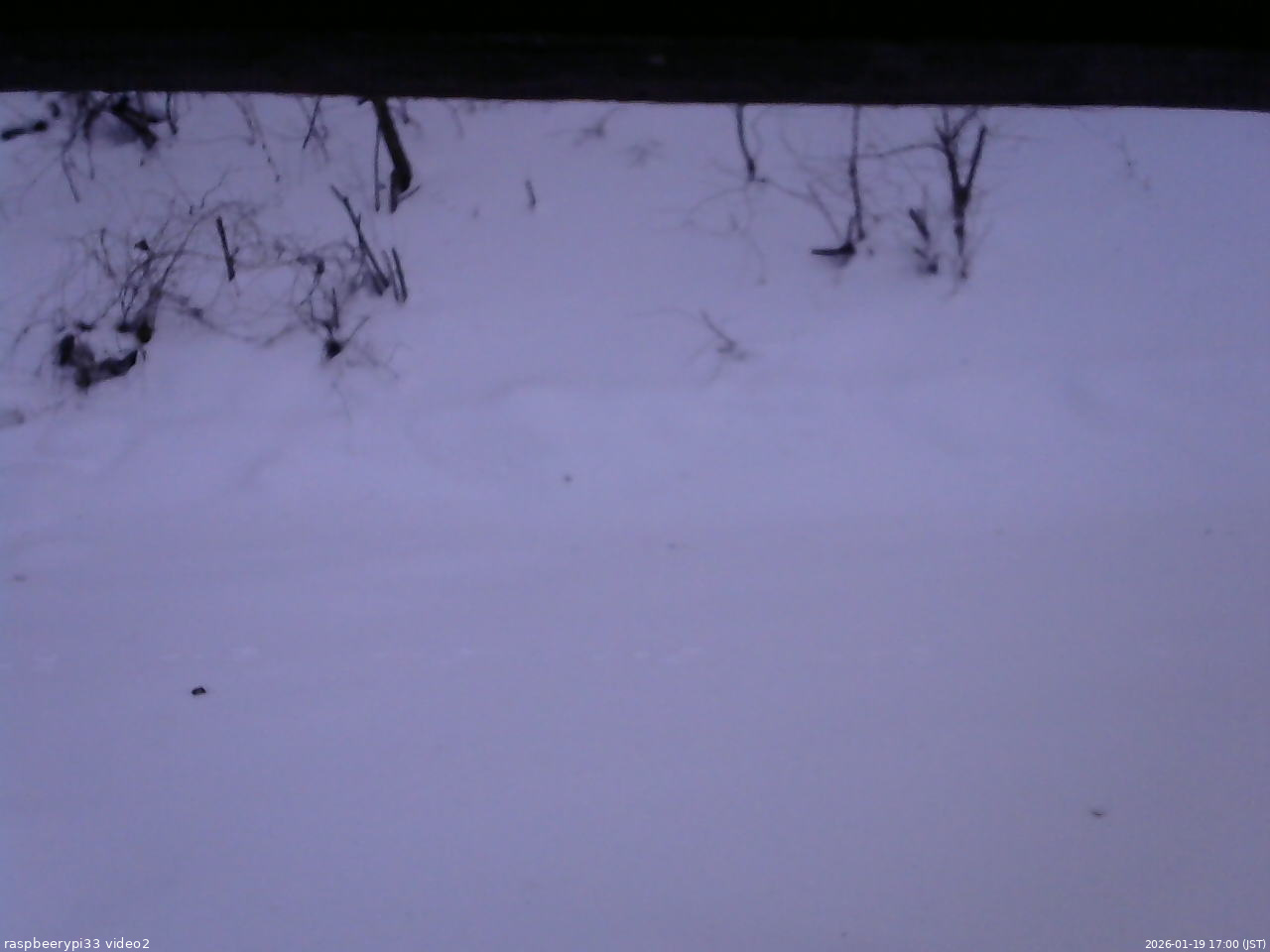 長野県菅平高原 ゆたか山荘 南側 2026/01/19 17:00