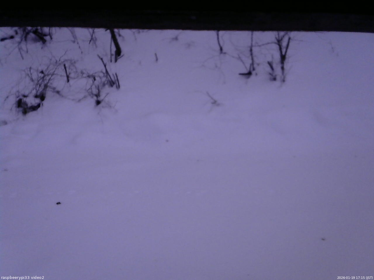 長野県菅平高原 ゆたか山荘 南側 2026/01/19 17:15