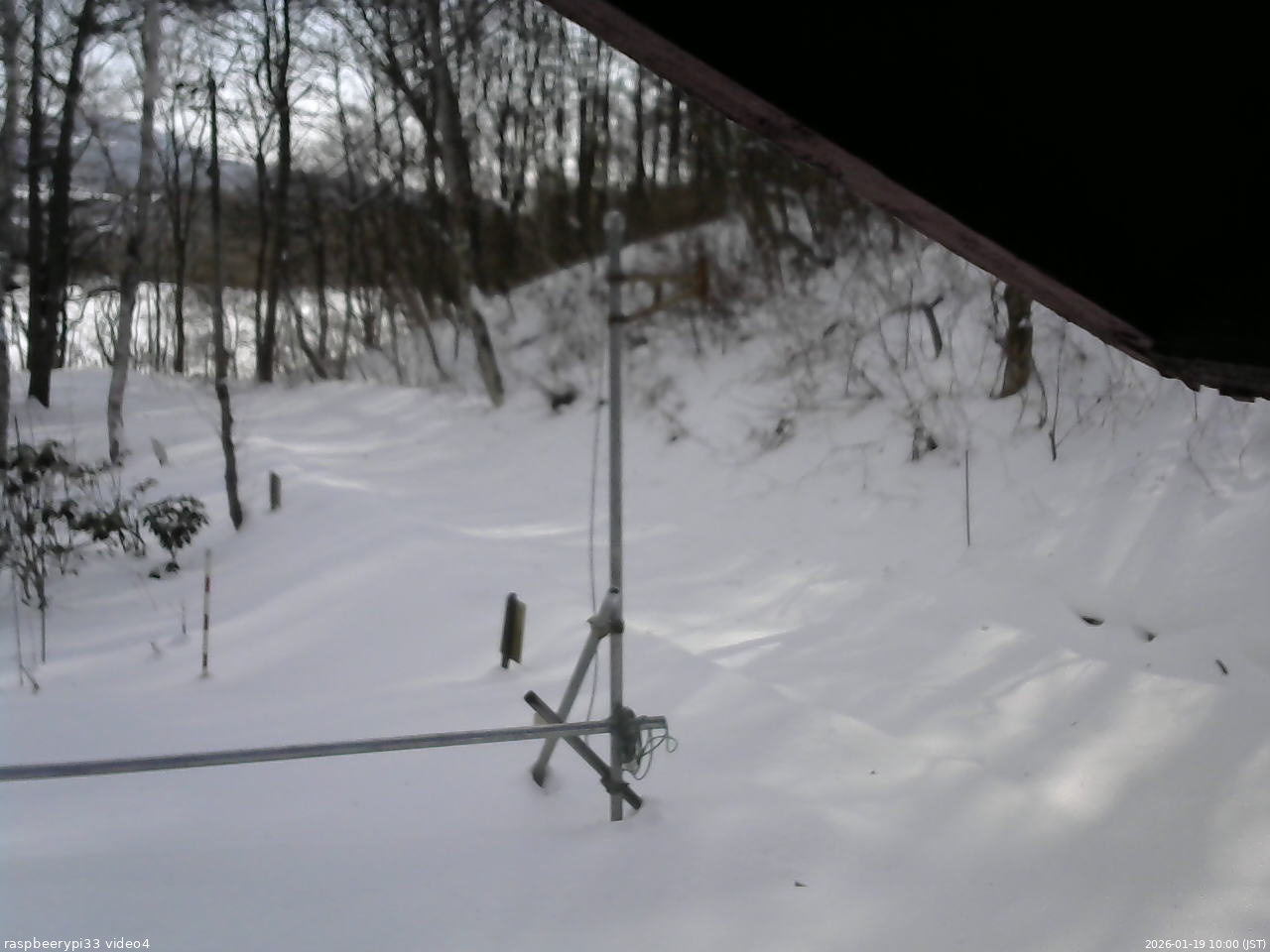 長野県菅平高原 ゆたか山荘 東側(坂下) 2026/01/19 10:00