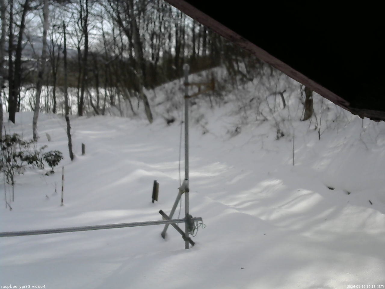 長野県菅平高原 ゆたか山荘 東側(坂下) 2026/01/19 10:15