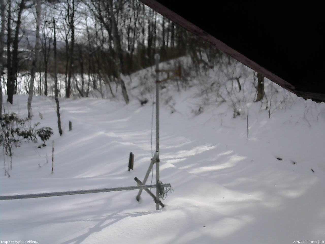 長野県菅平高原 ゆたか山荘 東側(坂下) 2026/01/19 10:30