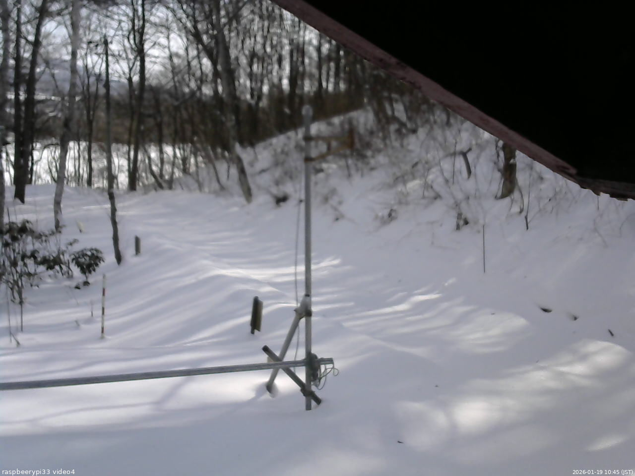 長野県菅平高原 ゆたか山荘 東側(坂下) 2026/01/19 10:45