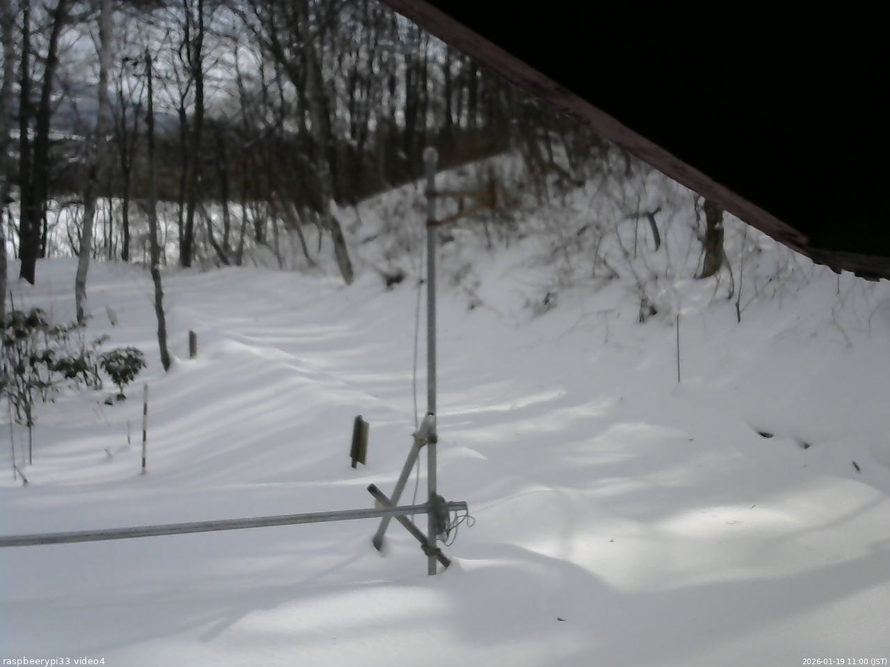 長野県菅平高原 ゆたか山荘 東側(坂下) 2026/01/19 11:00