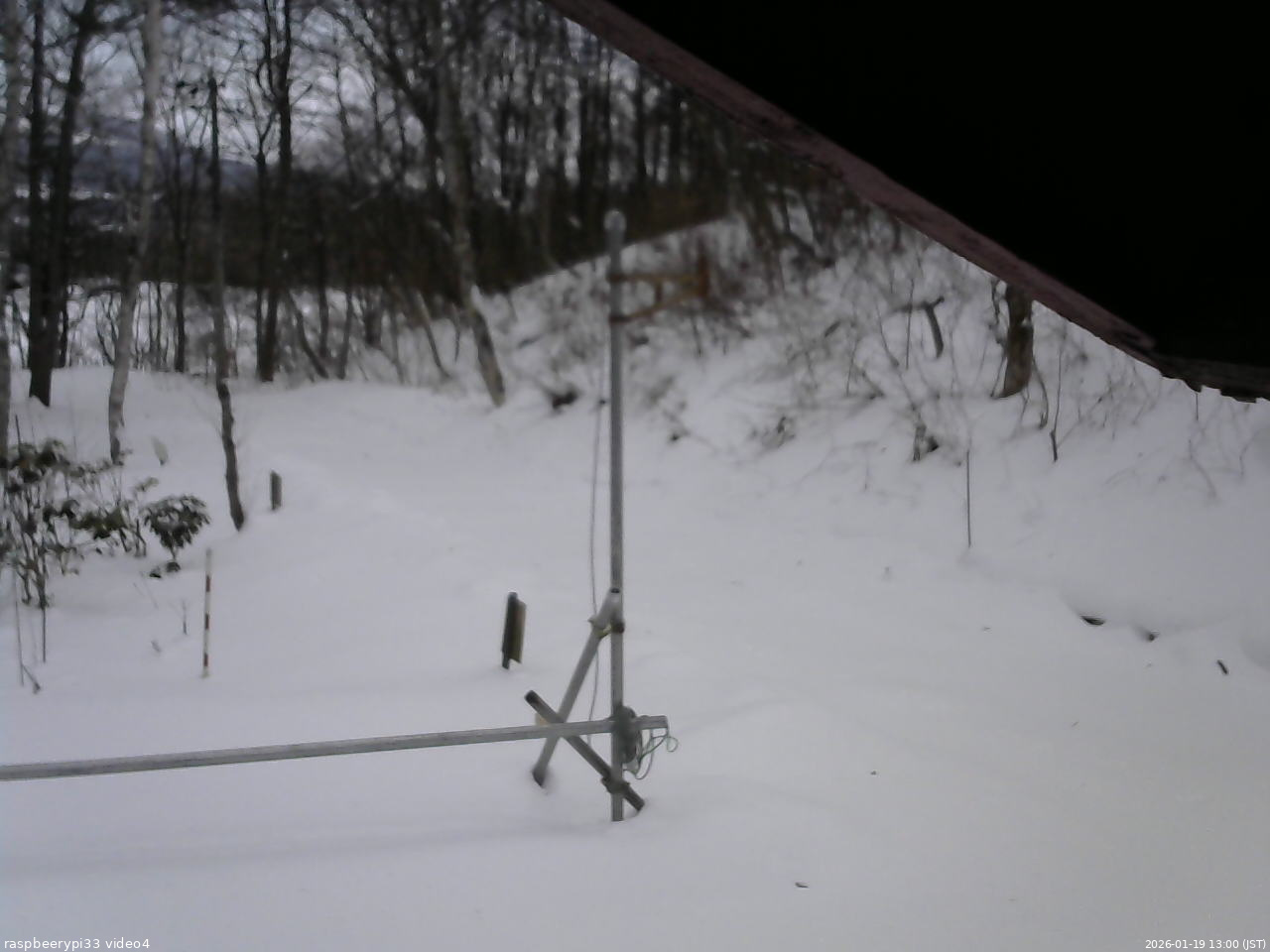 長野県菅平高原 ゆたか山荘 東側(坂下) 2026/01/19 13:00