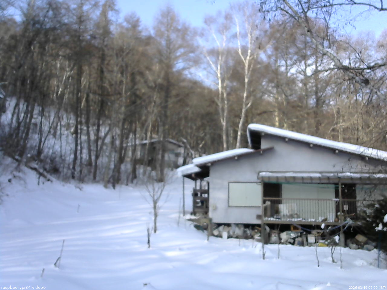 長野県菅平高原 ゆたか山荘 西側(坂上) 2026/01/19 09:00