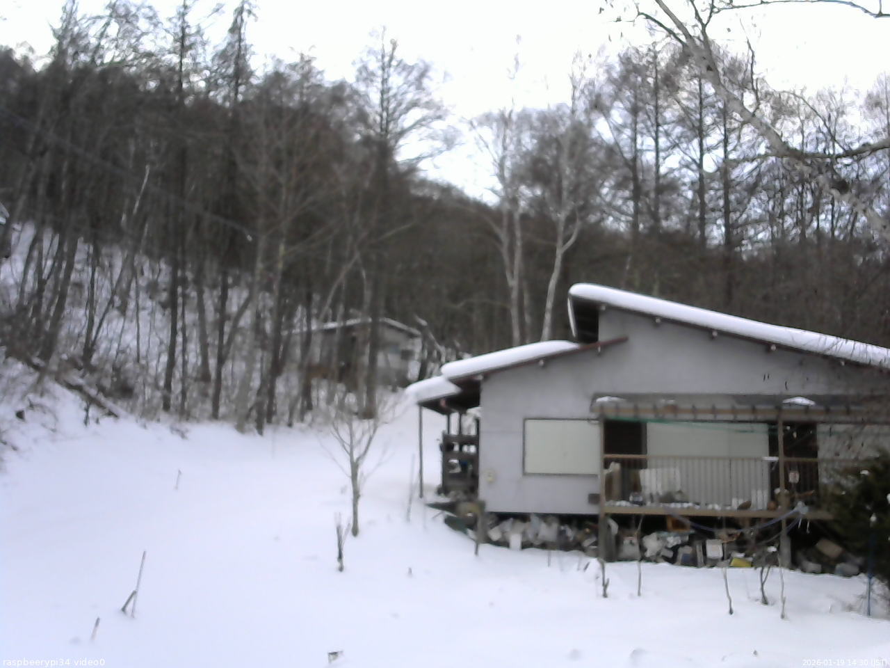 長野県菅平高原 ゆたか山荘 西側(坂上) 2026/01/19 14:30