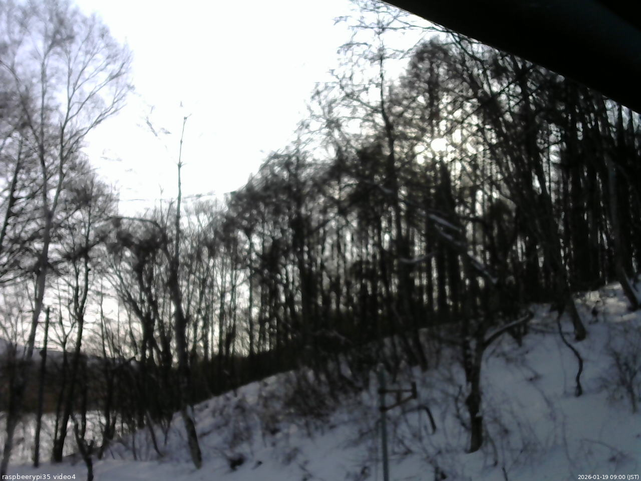 長野県菅平高原 ゆたか山荘 東側上空 2026/01/19 09:00