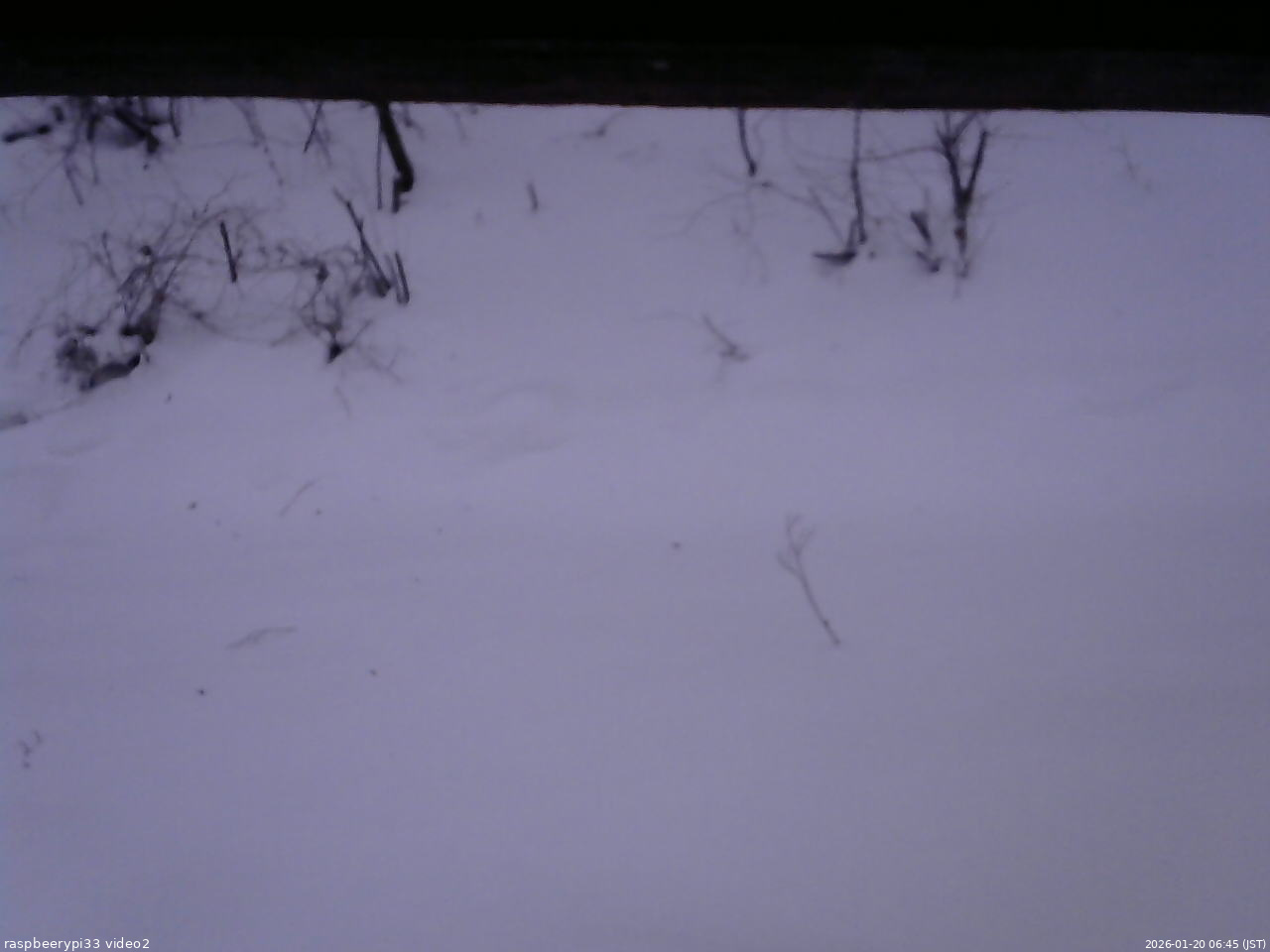 長野県菅平高原 ゆたか山荘 南側 2026/01/20 06:45