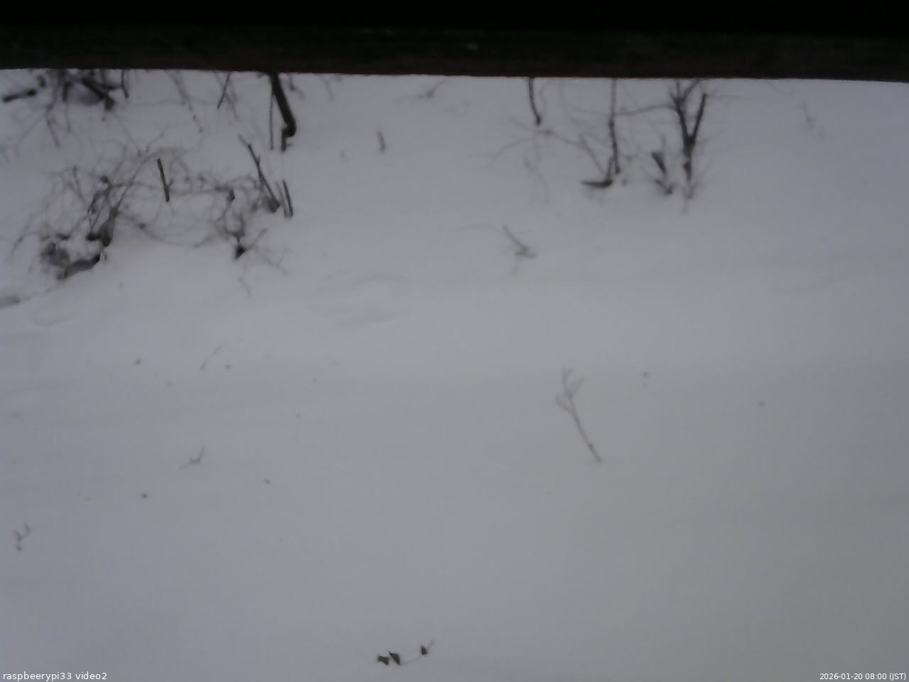 長野県菅平高原 ゆたか山荘 南側 2026/01/20 08:00