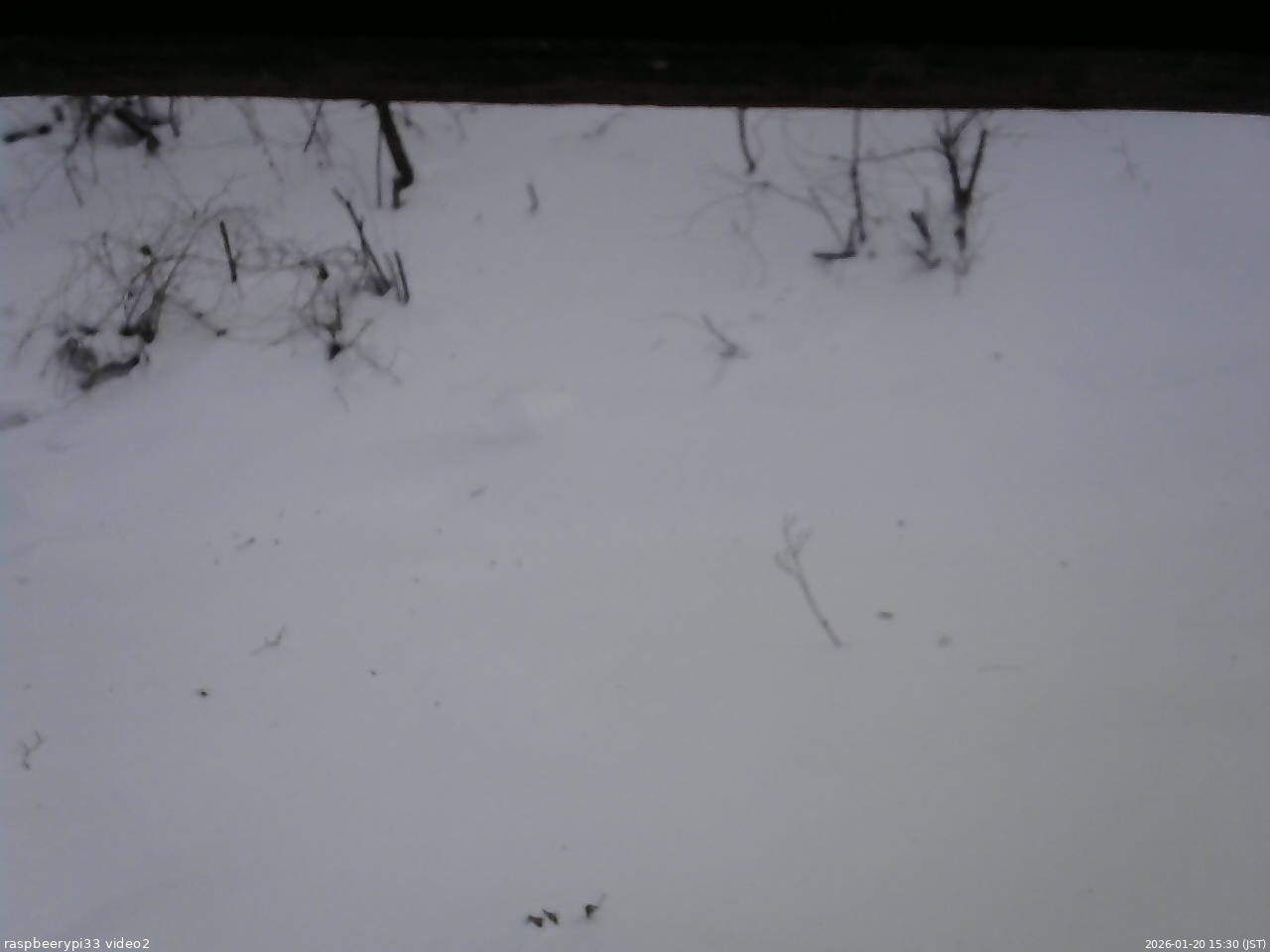 長野県菅平高原 ゆたか山荘 南側 2026/01/20 15:30