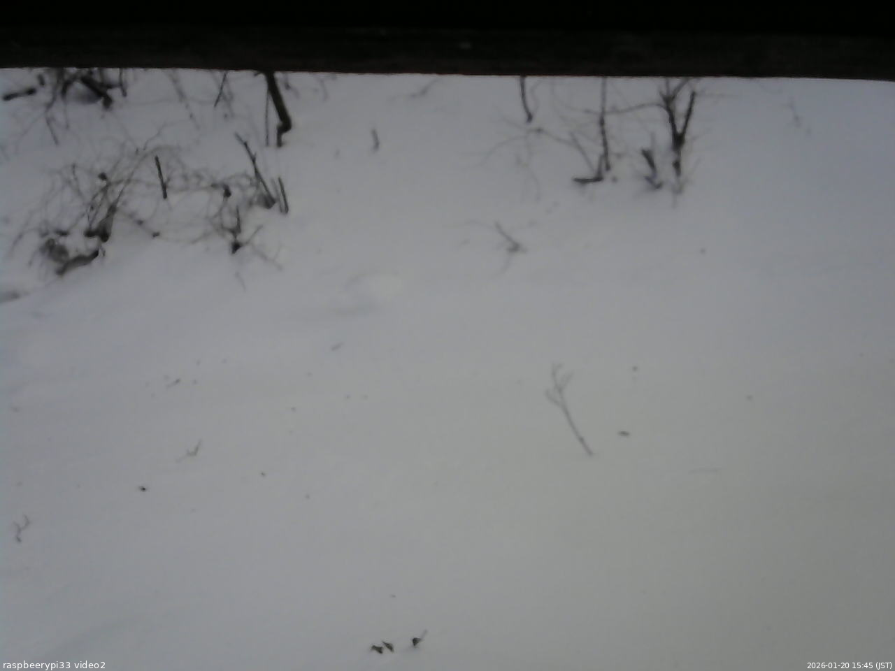 長野県菅平高原 ゆたか山荘 南側 2026/01/20 15:45