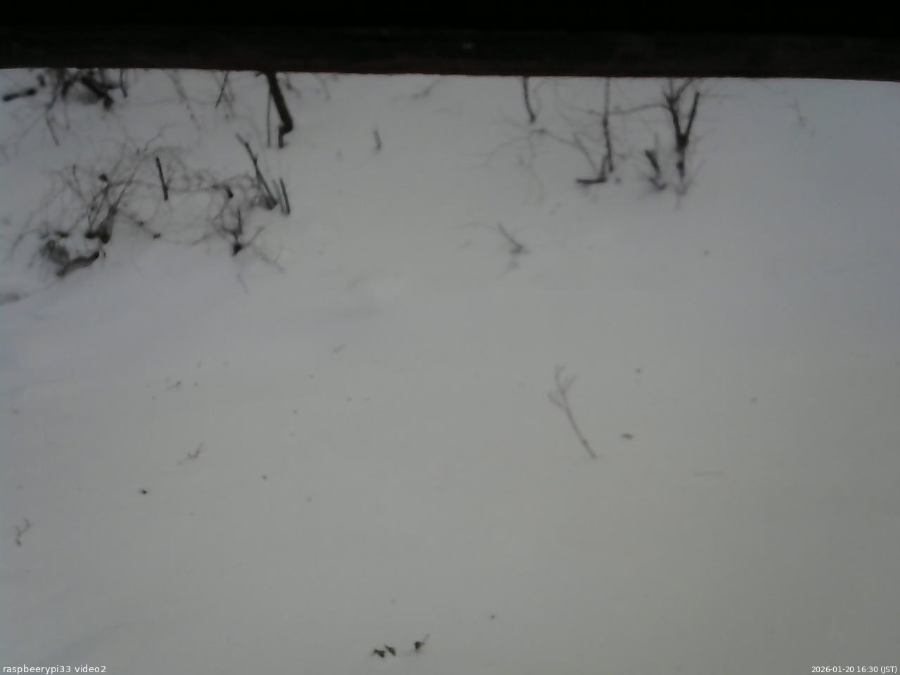 長野県菅平高原 ゆたか山荘 南側 2026/01/20 16:30