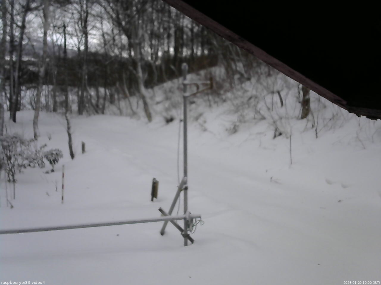 長野県菅平高原 ゆたか山荘 東側(坂下) 2026/01/20 10:00