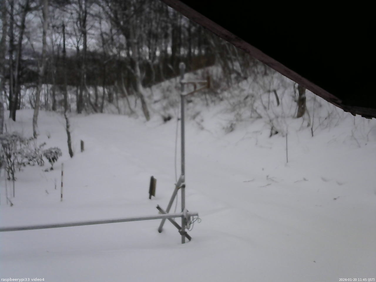 長野県菅平高原 ゆたか山荘 東側(坂下) 2026/01/20 11:45