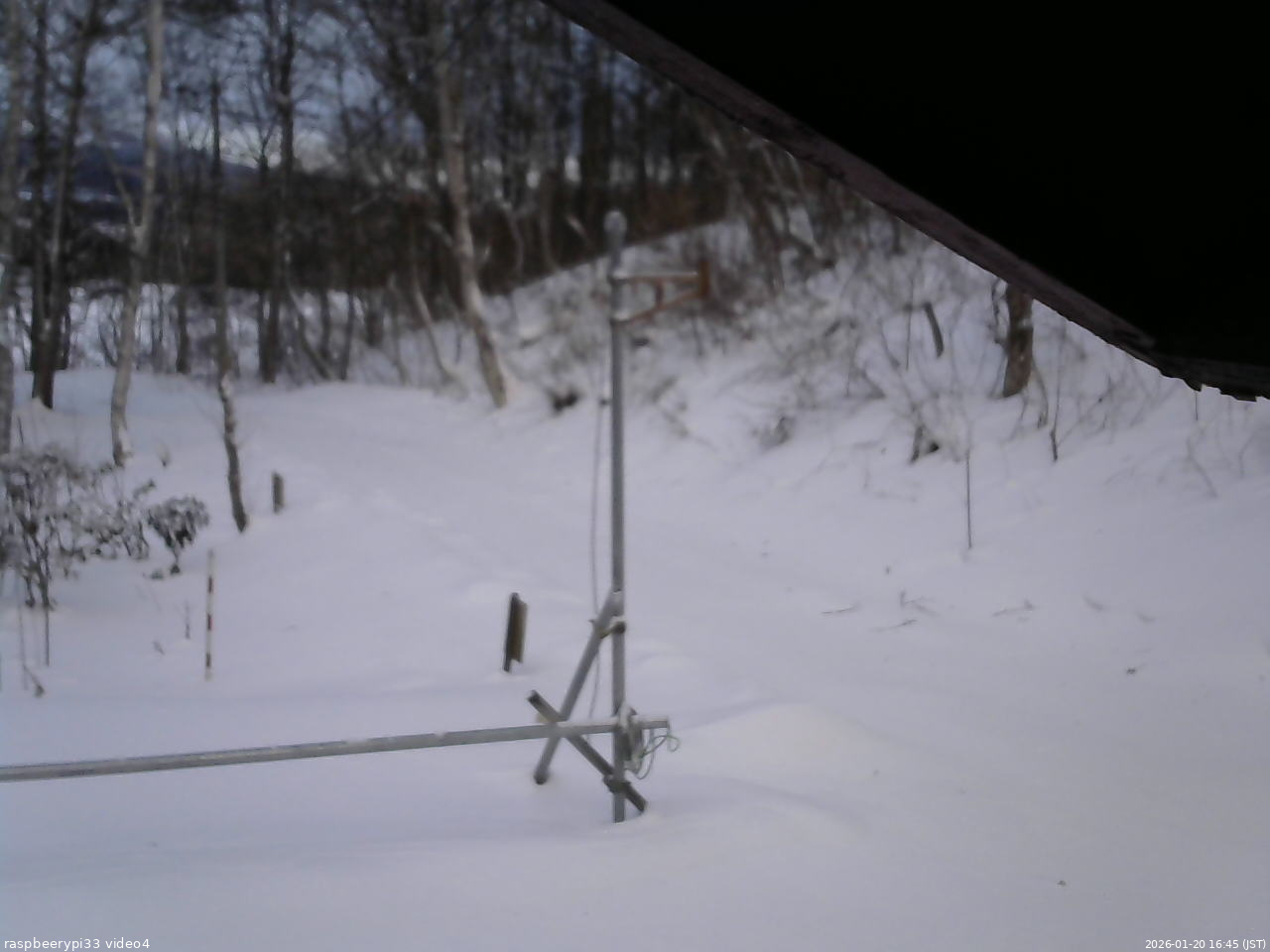 長野県菅平高原 ゆたか山荘 東側(坂下) 2026/01/20 16:45