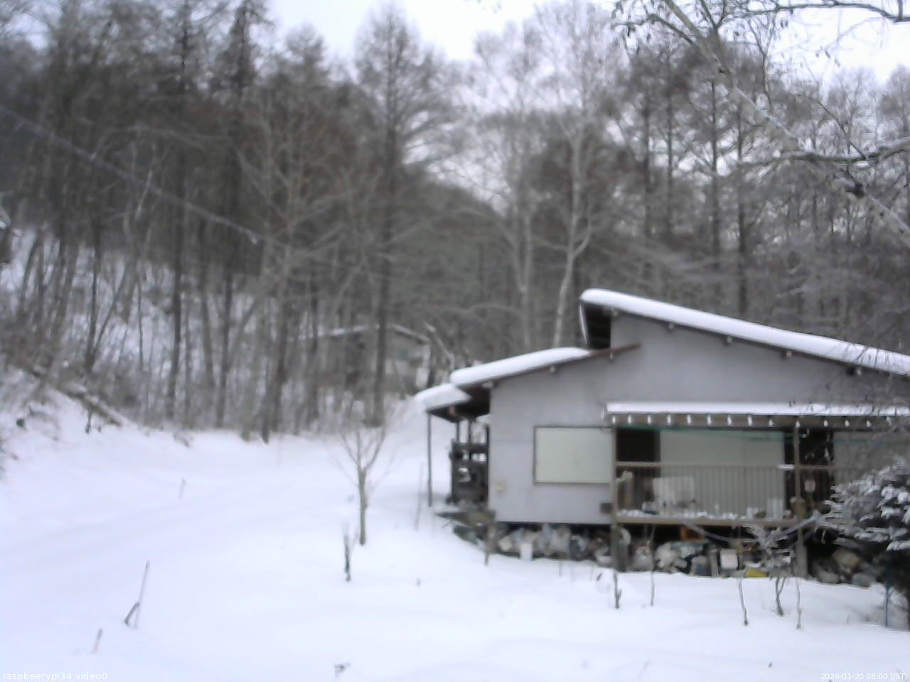 長野県菅平高原 ゆたか山荘 西側(坂上) 2026/01/20 08:00