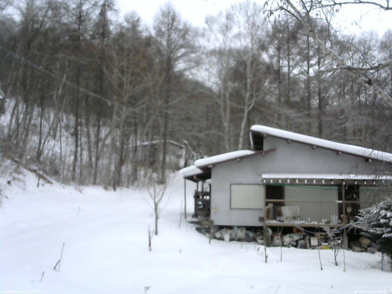 長野県菅平高原 ゆたか山荘 西側(坂上) 2026/01/20 10:00