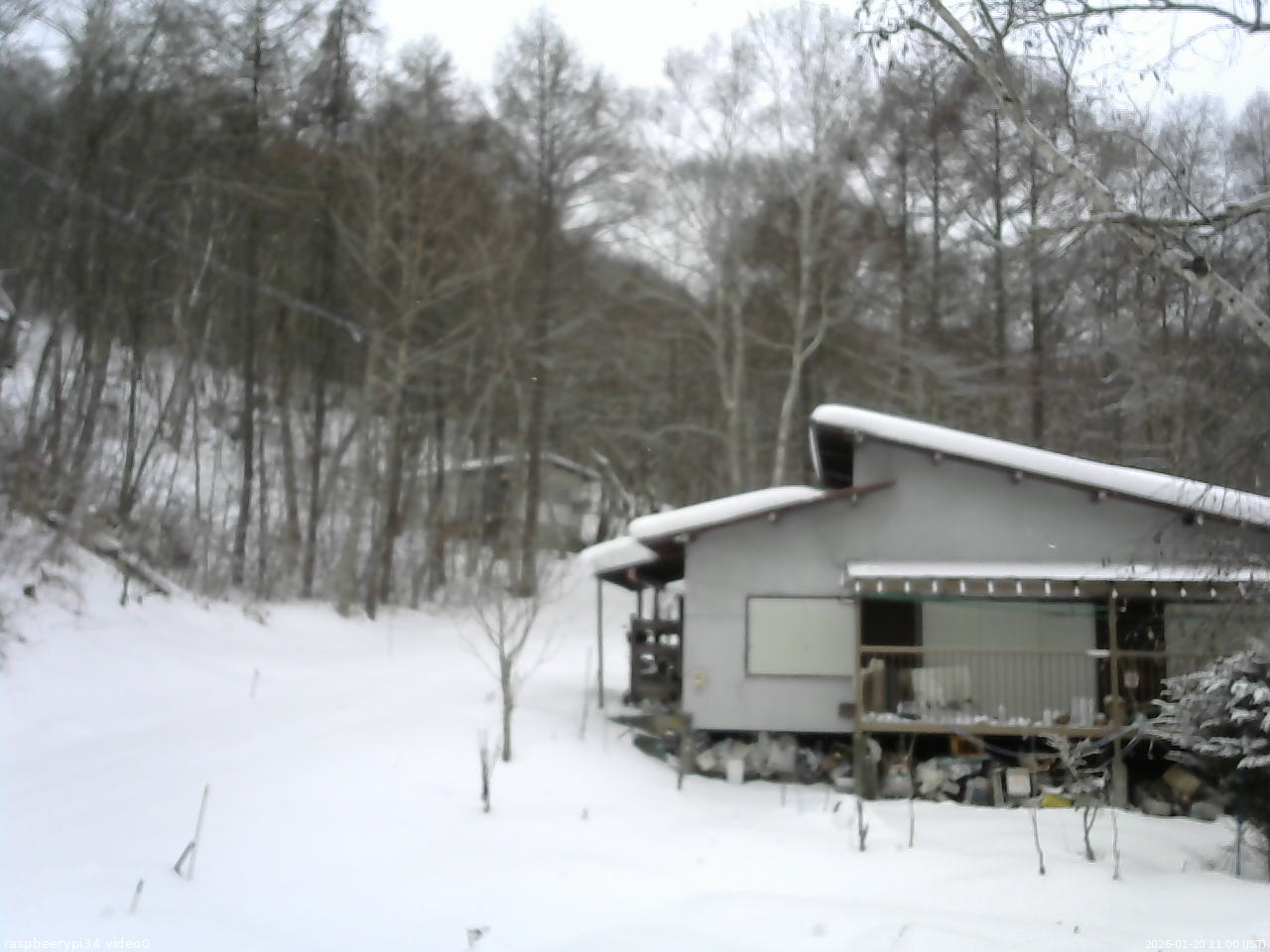 長野県菅平高原 ゆたか山荘 西側(坂上) 2026/01/20 11:00