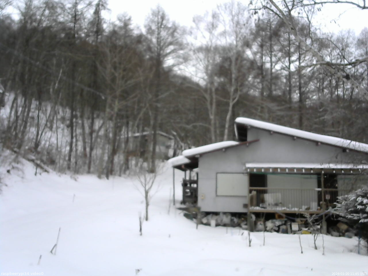 長野県菅平高原 ゆたか山荘 西側(坂上) 2026/01/20 11:45