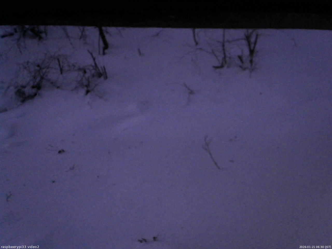 長野県菅平高原 ゆたか山荘 南側 2026/01/21 06:30