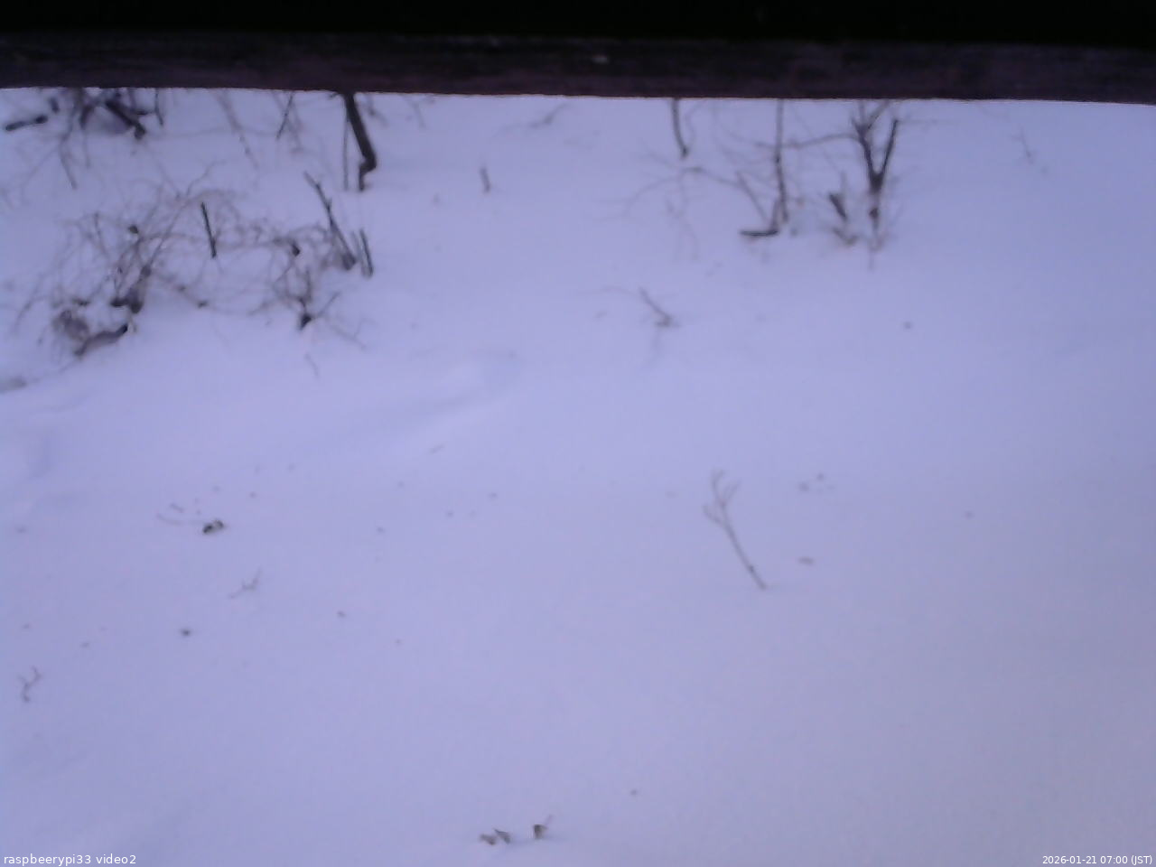 長野県菅平高原 ゆたか山荘 南側 2026/01/21 07:00