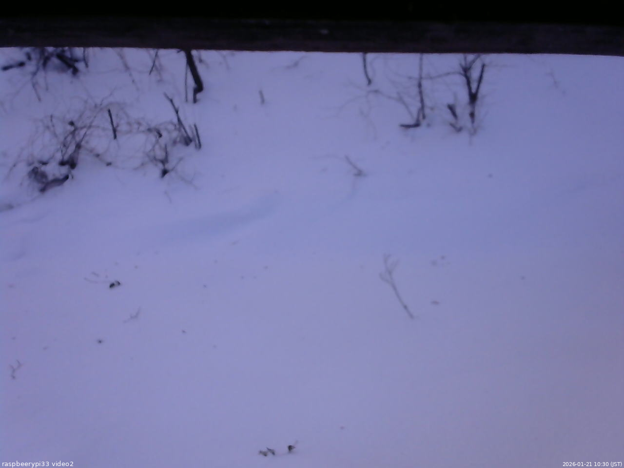 長野県菅平高原 ゆたか山荘 南側 2026/01/21 10:30