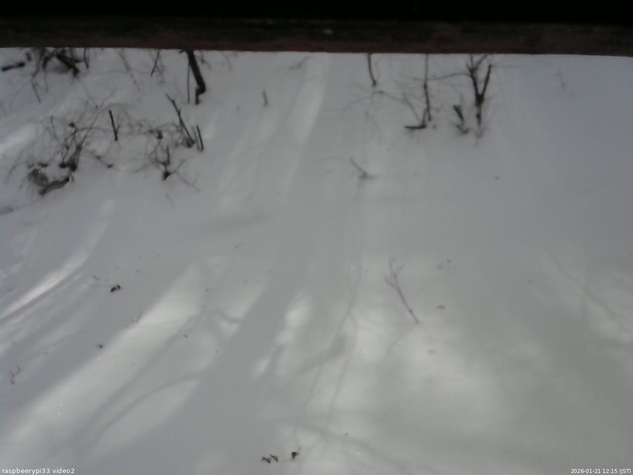 長野県菅平高原 ゆたか山荘 南側 2026/01/21 12:15