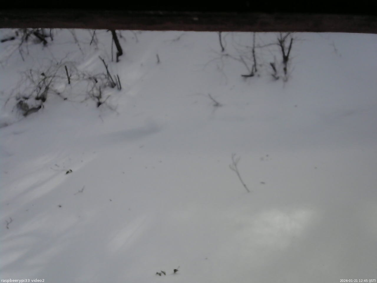 長野県菅平高原 ゆたか山荘 南側 2026/01/21 12:45