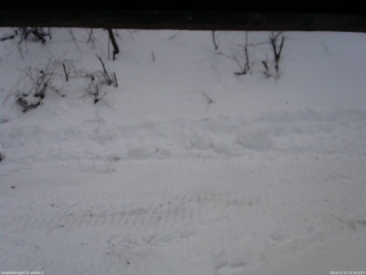 長野県菅平高原 ゆたか山荘 南側 2026/01/21 15:30