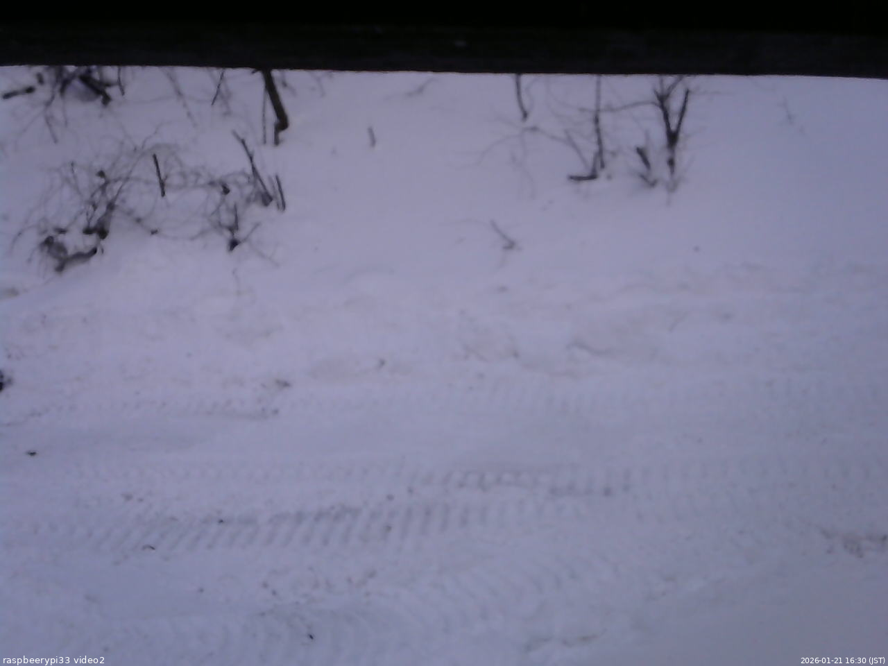 長野県菅平高原 ゆたか山荘 南側 2026/01/21 16:30