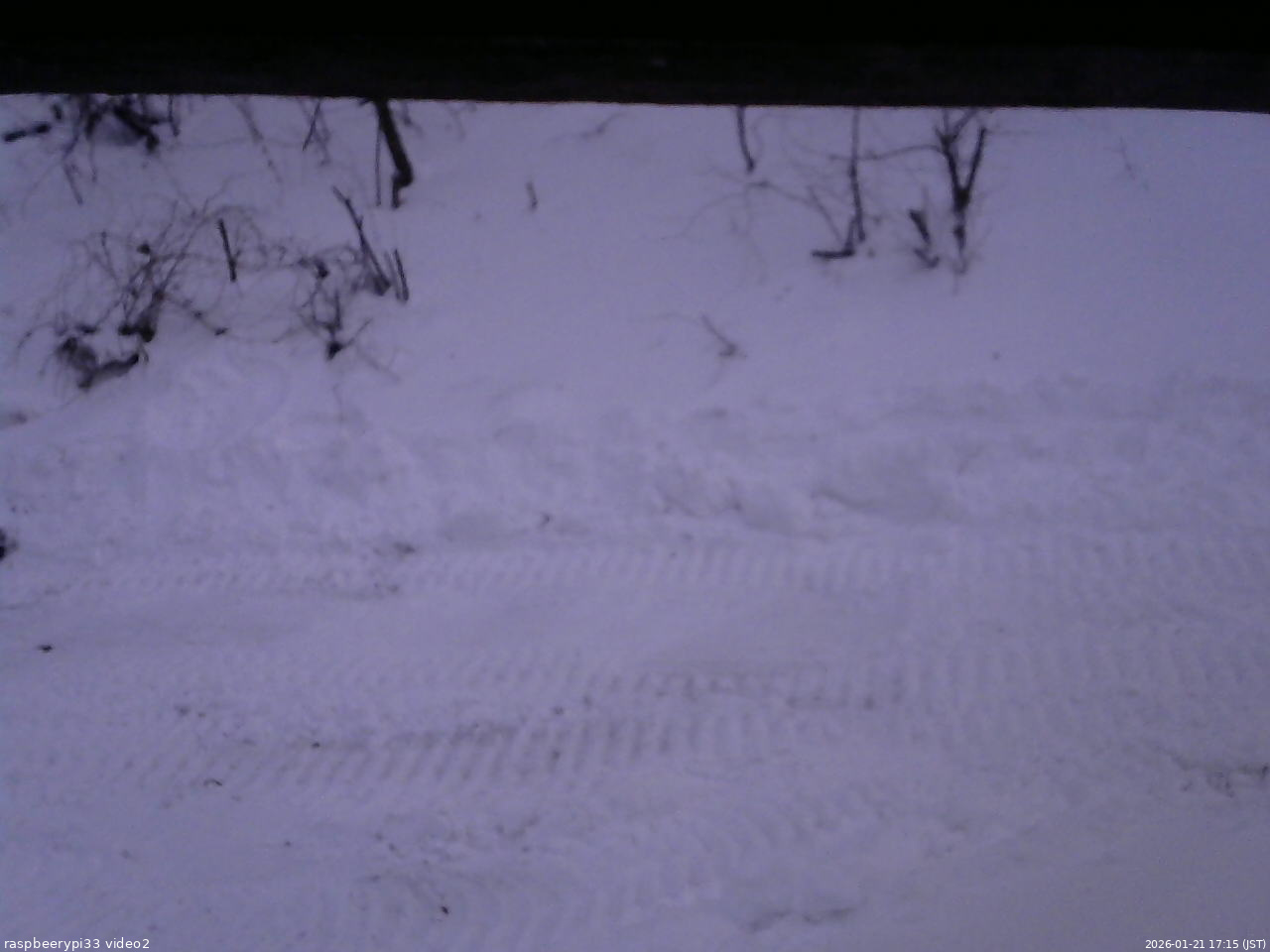長野県菅平高原 ゆたか山荘 南側 2026/01/21 17:15