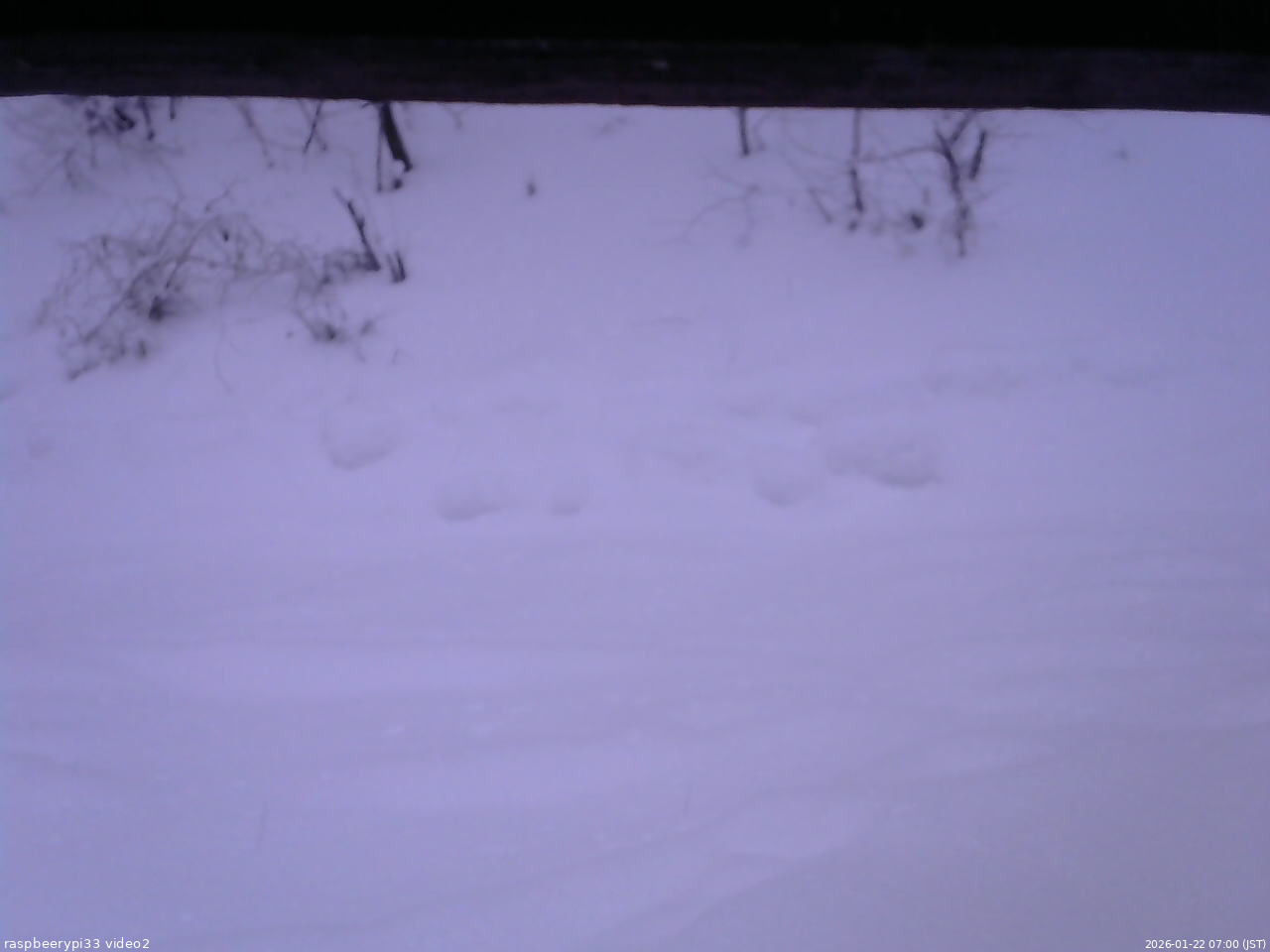 長野県菅平高原 ゆたか山荘 南側 2026/01/22 07:00