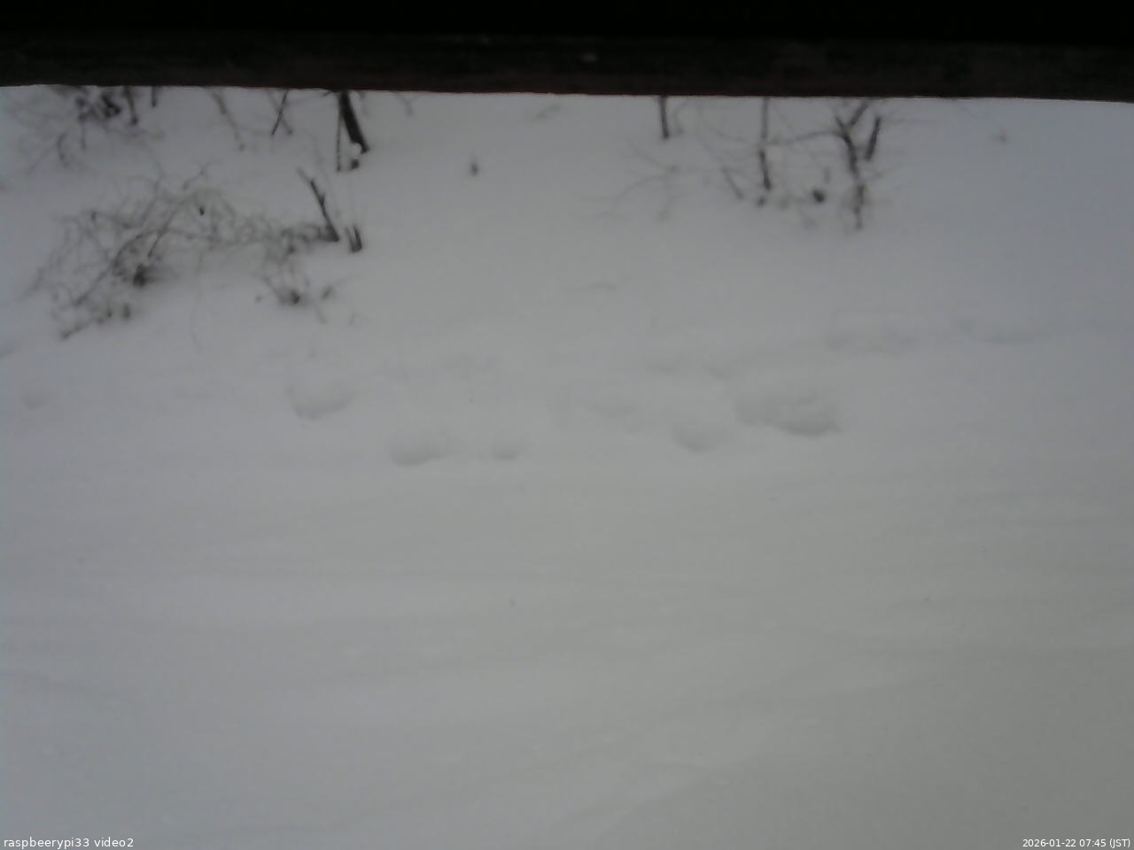 長野県菅平高原 ゆたか山荘 南側 2026/01/22 07:45