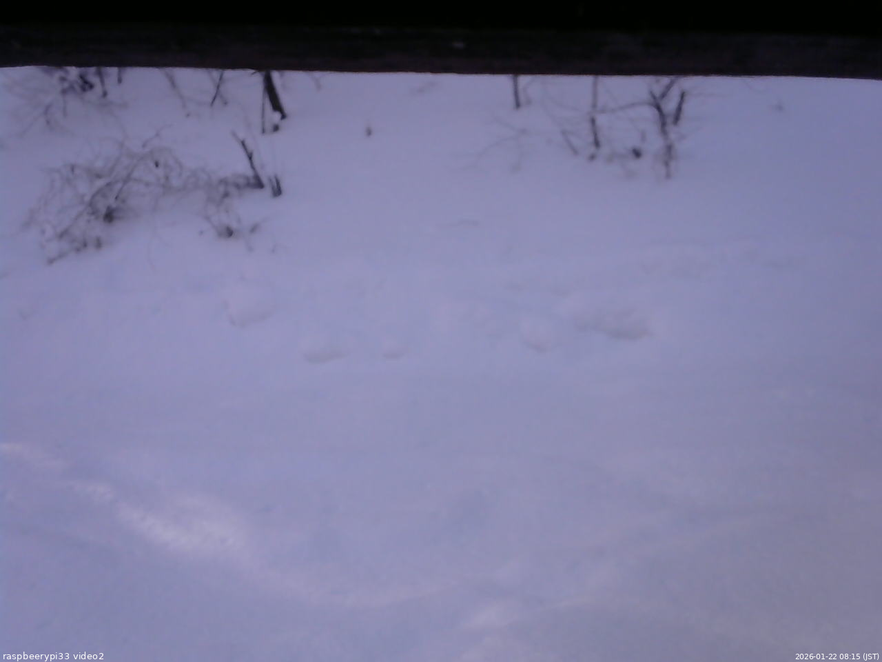 長野県菅平高原 ゆたか山荘 南側 2026/01/22 08:15