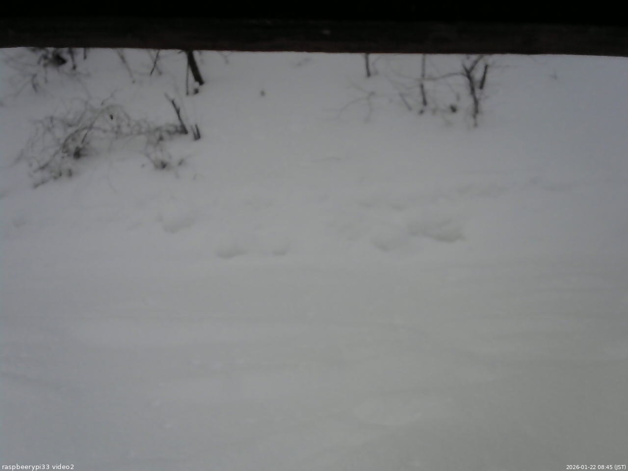 長野県菅平高原 ゆたか山荘 南側 2026/01/22 08:45