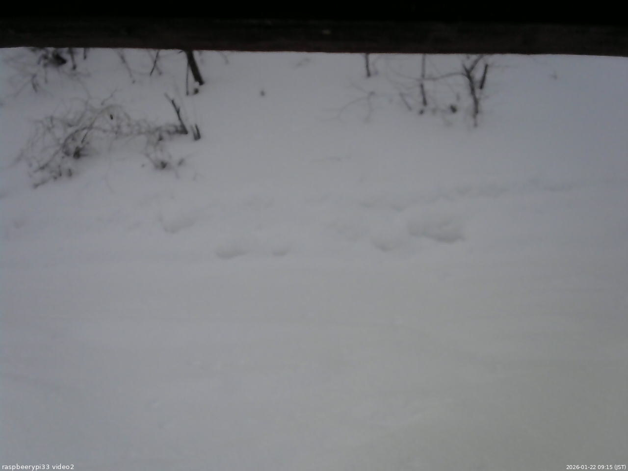 長野県菅平高原 ゆたか山荘 南側 2026/01/22 09:15