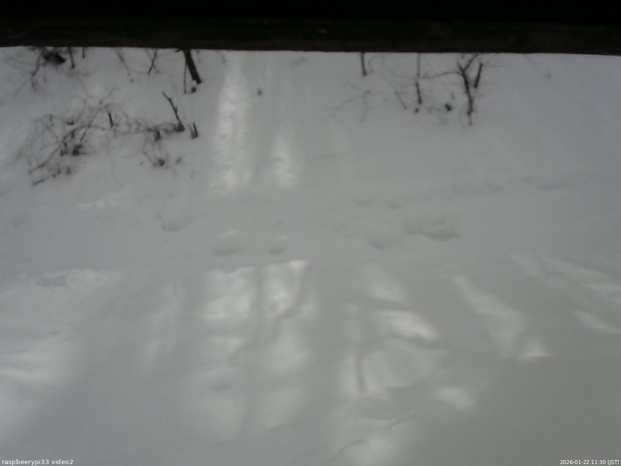 長野県菅平高原 ゆたか山荘 南側 2026/01/22 11:30