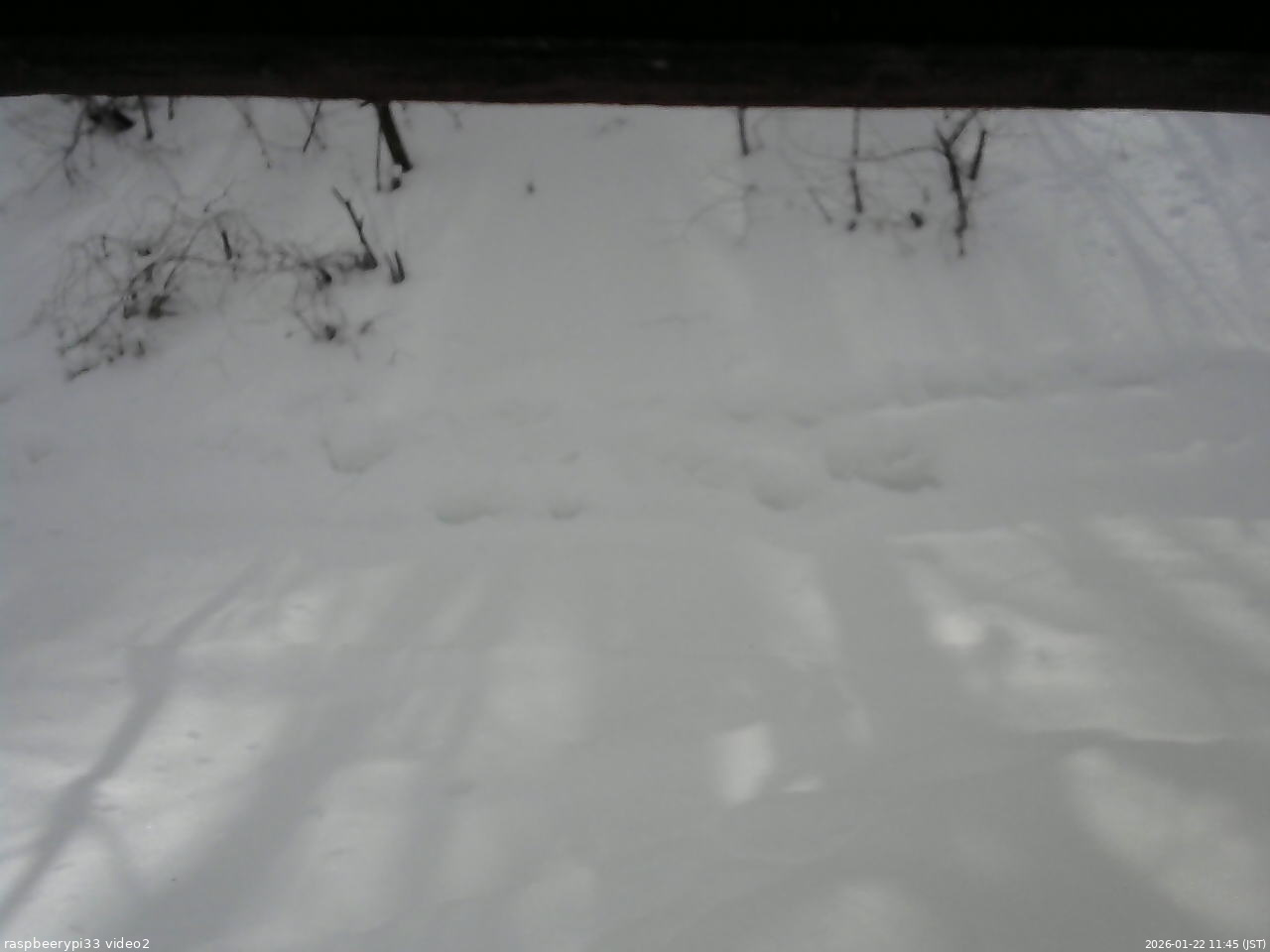長野県菅平高原 ゆたか山荘 南側 2026/01/22 11:45
